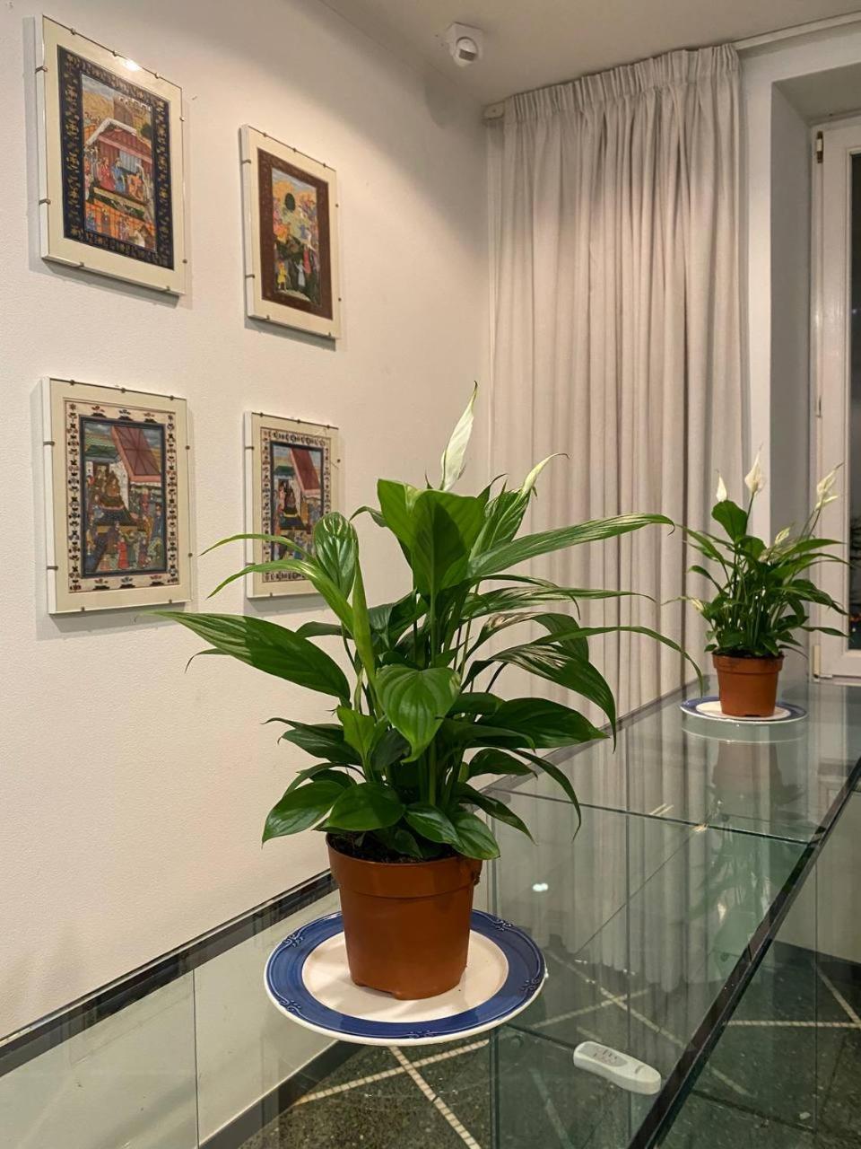 Martel Rooms - Genova Centro Brignole Екстер'єр фото